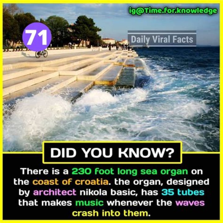 10 Facts You Should Know About |