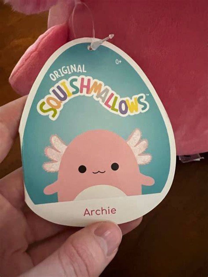 12&rdquo; Archie Squishmallow munimoro.gob.pe