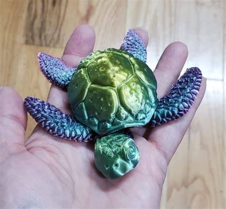3D Printing: Bringing Turtles To Life