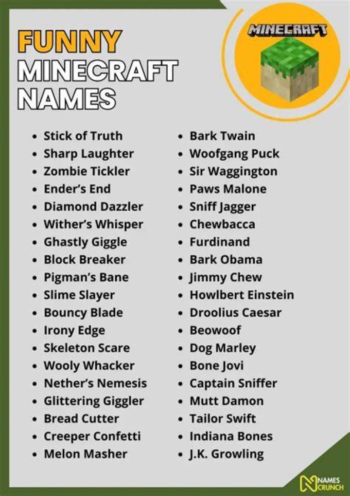 400+ Funny Minecraft Names [Best Ideas] Names Crunch