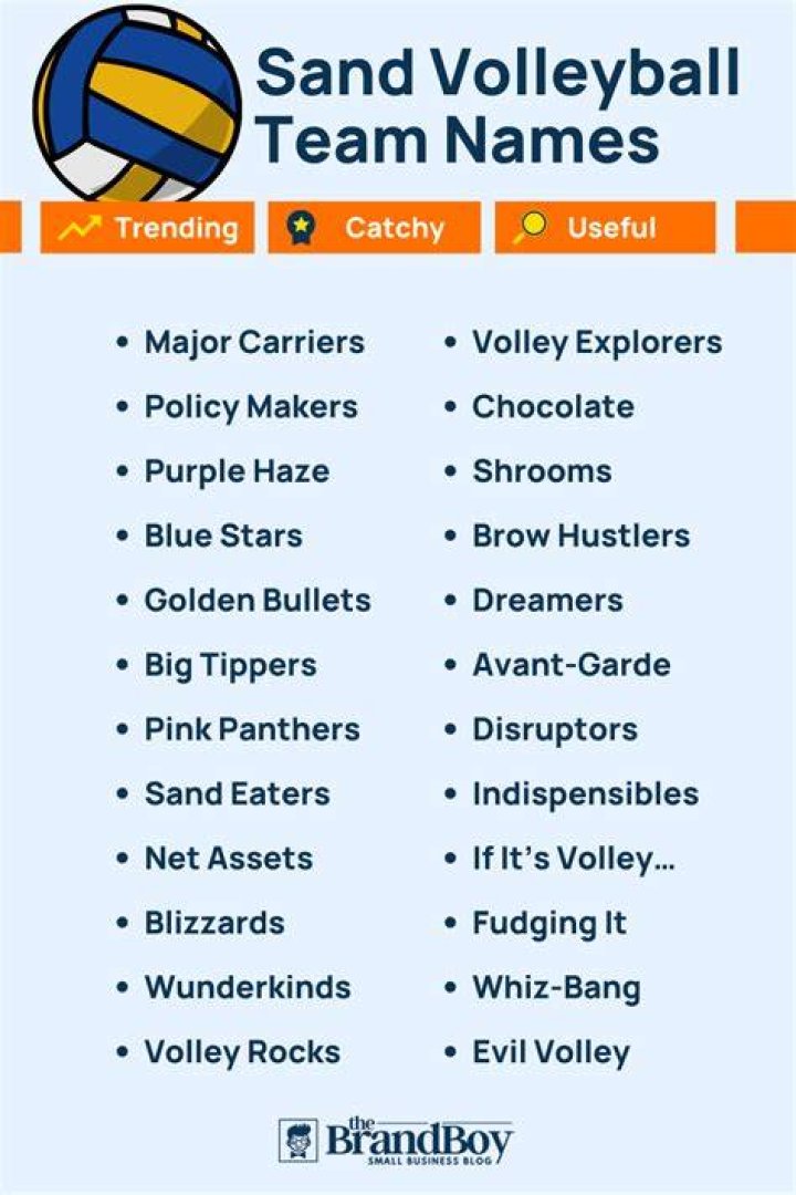 500 Cool Sand Volleyball Team Names Ideas (Generator) BrandBoy