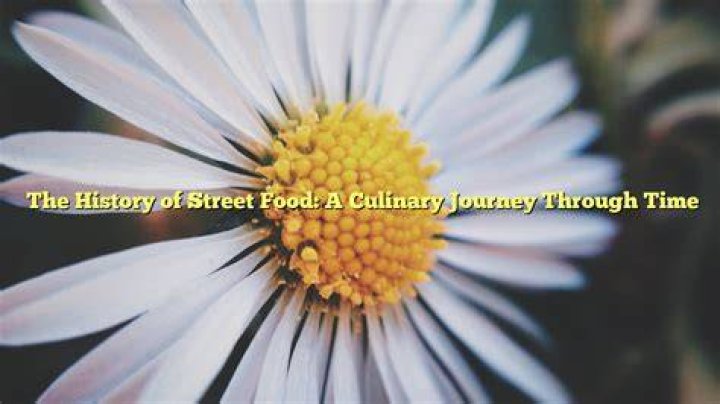 A Culinary Journey Through Time And Taste