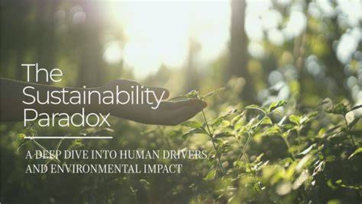 A Deeper Dive Into Sustainability And Style