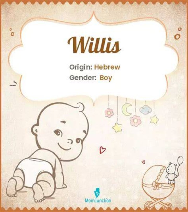A Guide To Its Origin, Charm, And Care