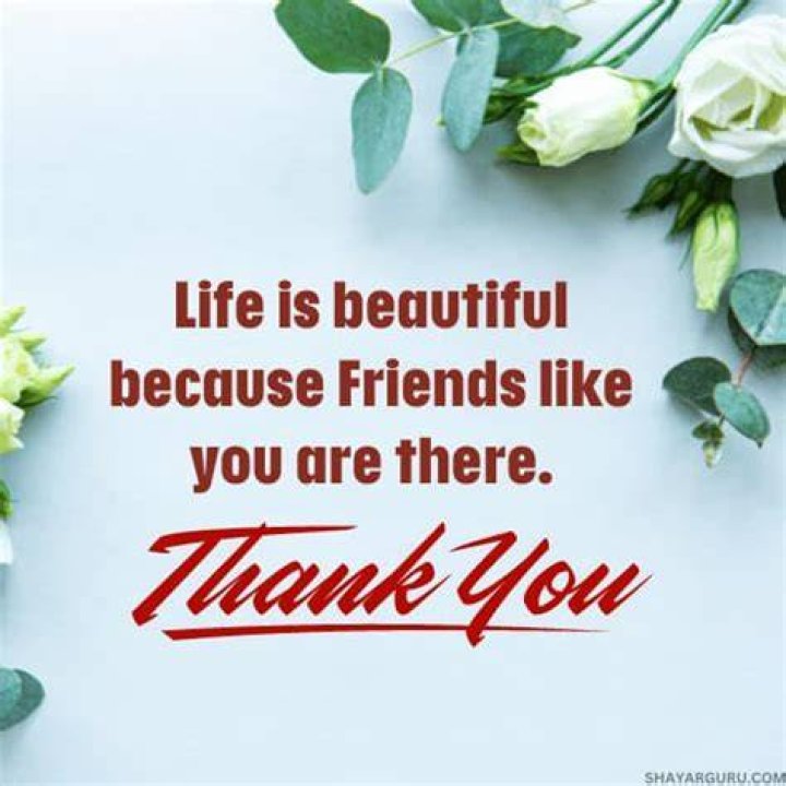 A Heartfelt Tribute: Expressing Appreciation For The Best Friend In My Life