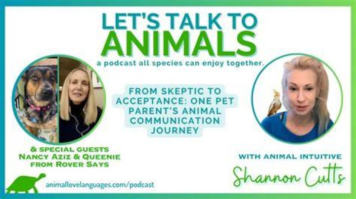 A Journey Into Animal Communication