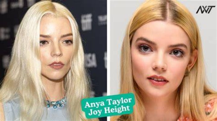 A Journey Of Height, Weight, Age, Family, And Fame