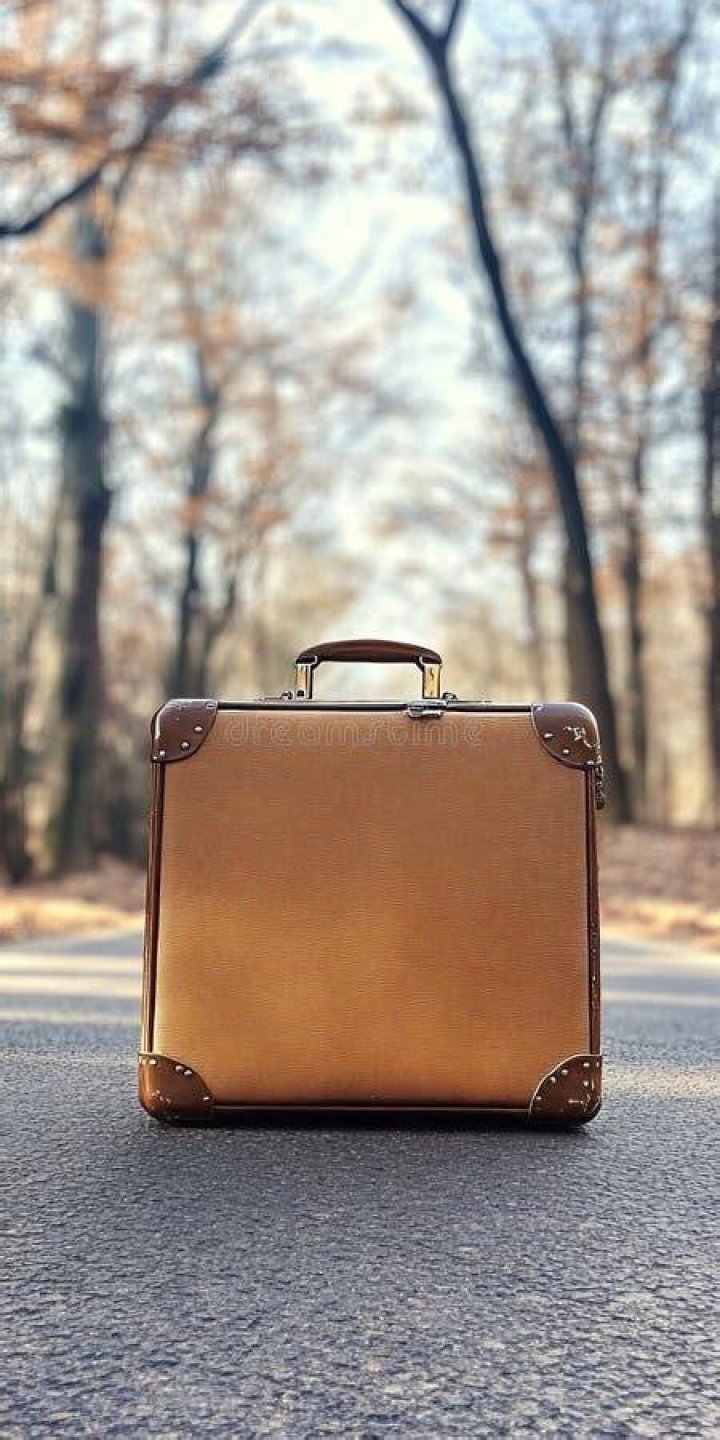 A Journey Of Nostalgia And Discovery