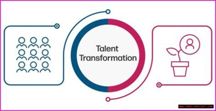 A Journey Of Talent, Diversity, And Timeless Appeal