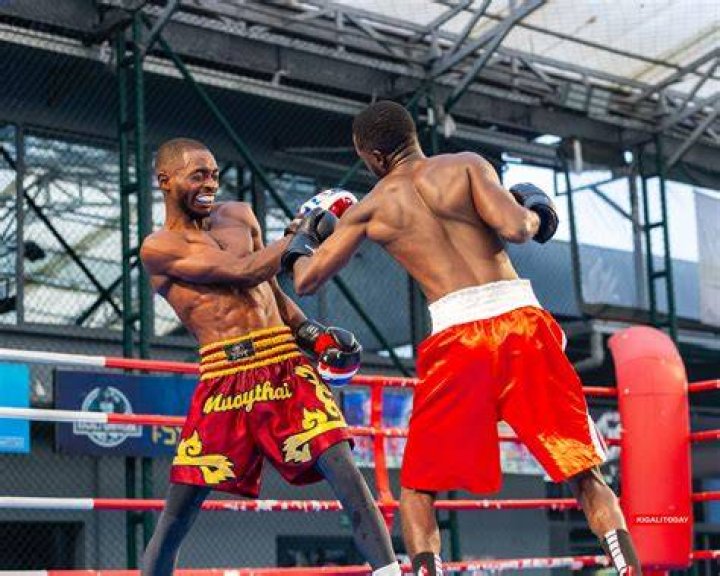 A Journey To Boxing Supremacy