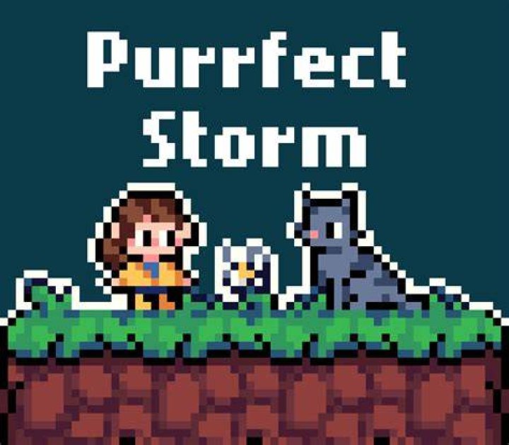 A Purrfect Storm Of Music And Controversy