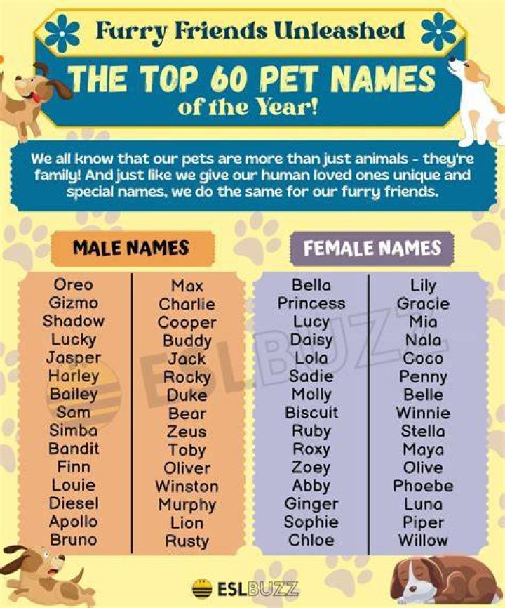 Adorable Pet Names To Call Your Special Lady