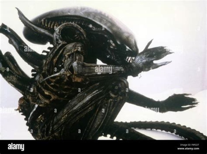 &lrm;Alien (1979) directed by Ridley Scott &bull; Reviews, film + cast &bull; Letterboxd