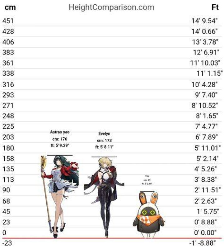 All About Evelyn Height | Height, Info, And More