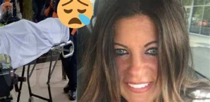 Amy Habib Obituary Pittsburgh PA MOM CEO Car Accident
