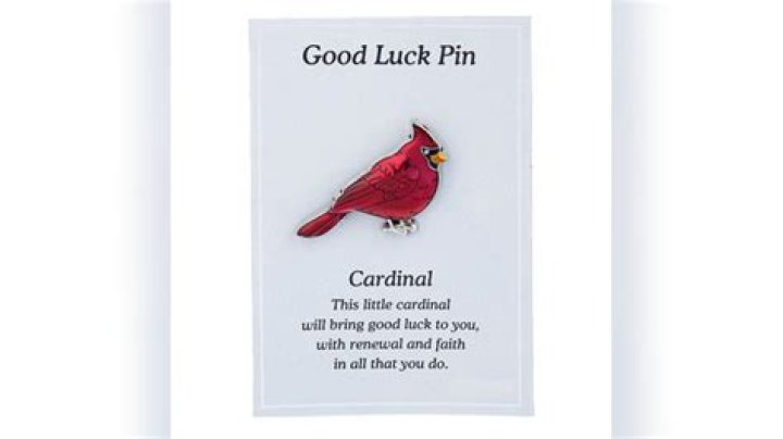 Are Cardinals Good Luck?