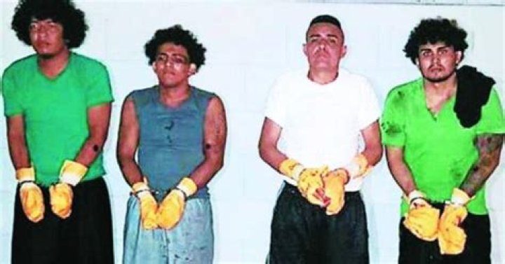 Asesinato de Magdaleno Meza F&uacute;nez en El Pozo I
