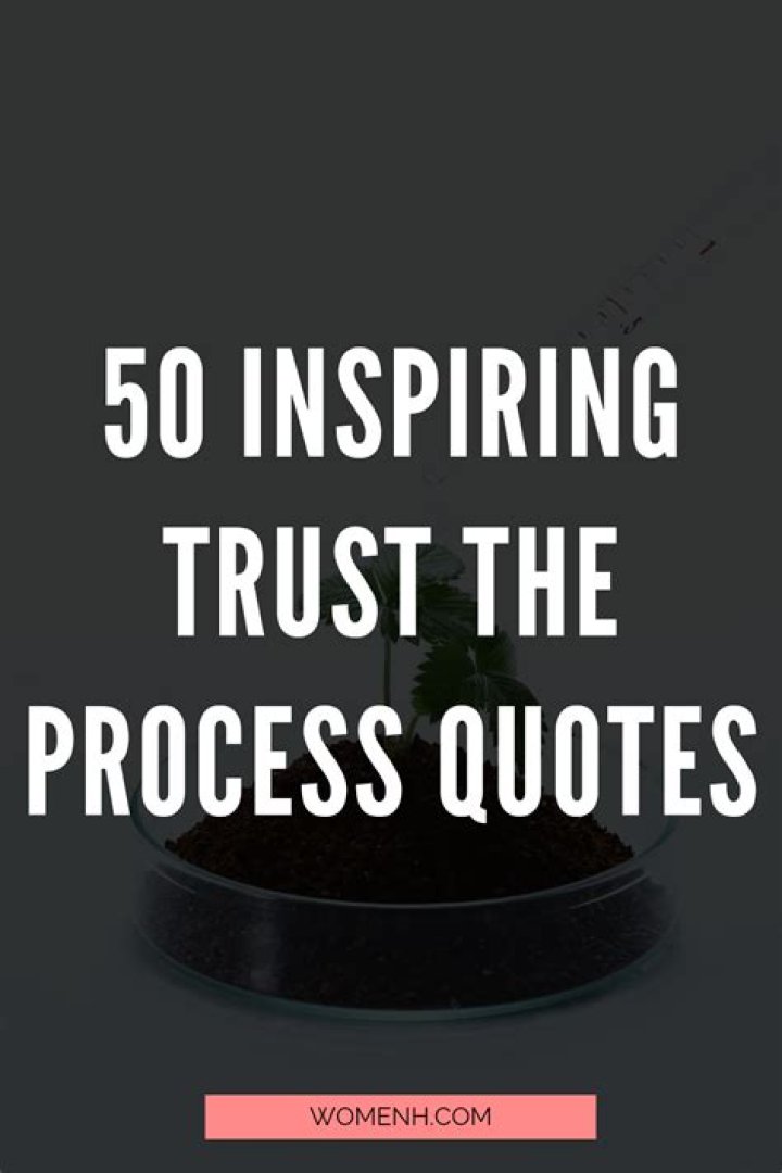 Awe-Inspiring Trust The Process Quotes To Guide Your Journey