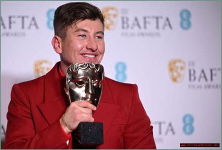 Barry Keoghan's Irish Heritage And Ethnic Background | Ancestry Explored
