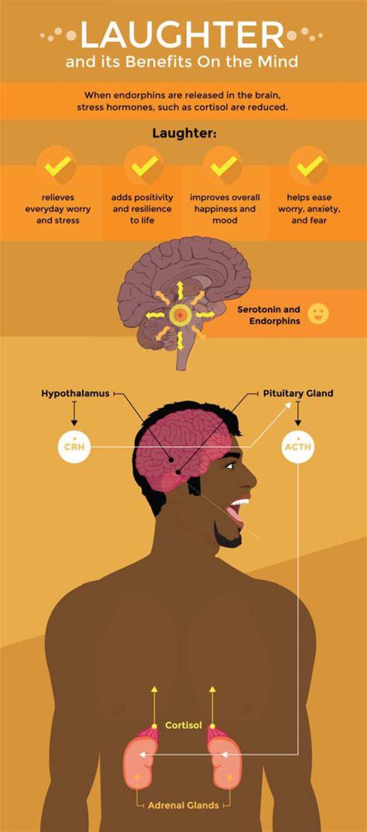 Behind The Laughter And Impact
