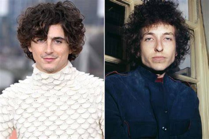 Bob Dylan biopic starring Timoth&eacute;e Chalamet put on hold