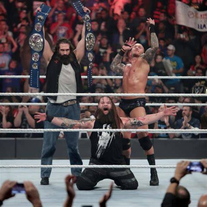 Bray Wyatt WWE SmackDown Tag Team Championship WWE Championship WWE Raw