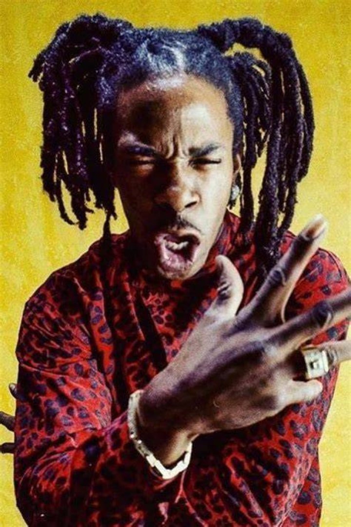 Busta Rhymes Dreads & Hair Evolution (With Video) Heartafact