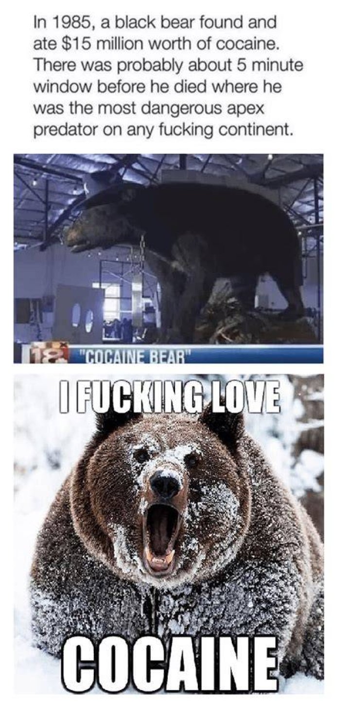 Cocaine Bear: The Meme That Went Viral