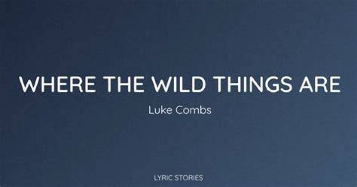 Complete Guide To Luke Combs' "Where The Wild Things Are": Meaning, Lyrics, And Analysis