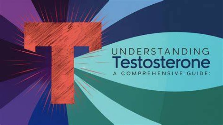 Comprehensive Guide To Understanding 4a 3 11 And Its Significance