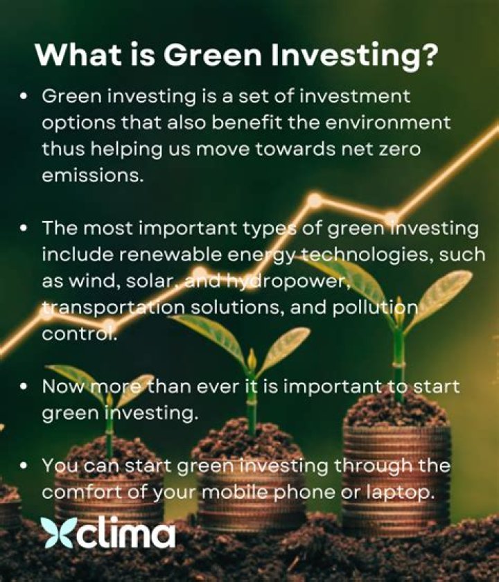 Convert Your Ideas To Cash: The Ultimate Guide To Green Investing