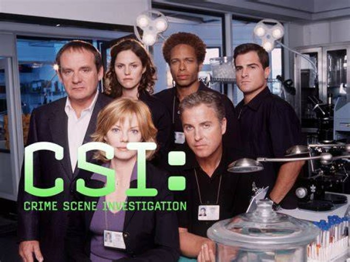 CSI's Eads to 'fight for custody of his daughter amid Monika