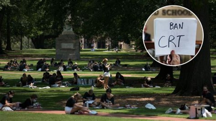 Cue sobbing public apology: Jamie Lynn Scott University of South Carolina racist video goes vi