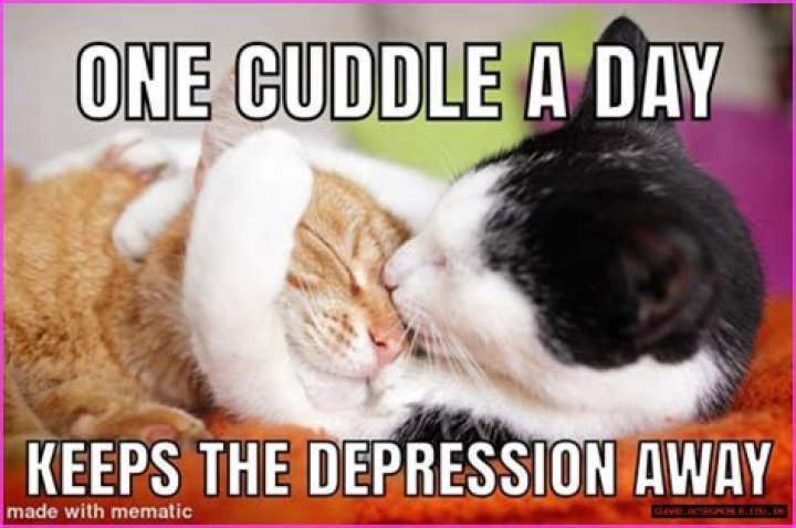 Cute And Cozy: The Ultimate Collection Of Cuddle Memes