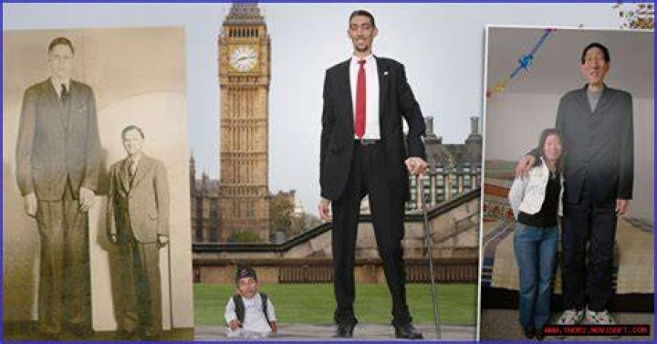 Dan Mooney Height Revealed: The Actor's Stature Unveiled