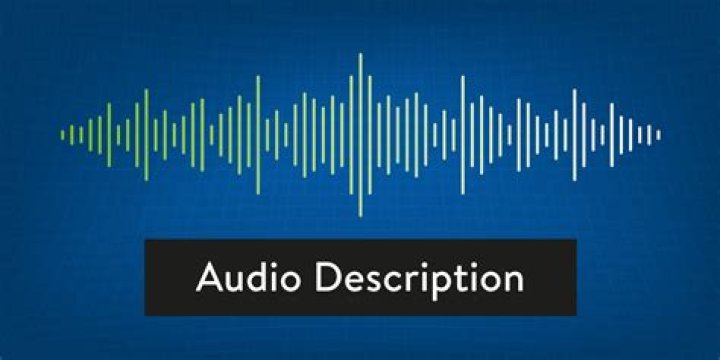 DashVib | AUDIO DESCRIPTION
