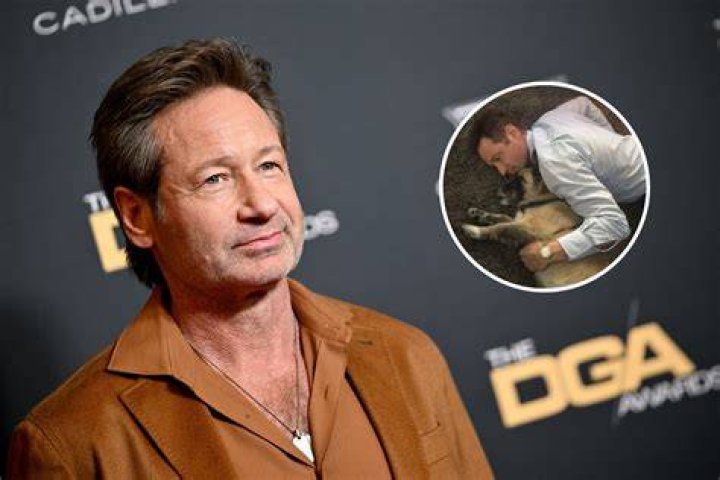 David Duchovny's Daughter Madelaine West Duchovny Biography