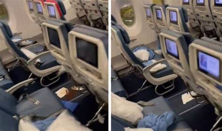 Delta Woes: Diarrhea Disaster On A Plane