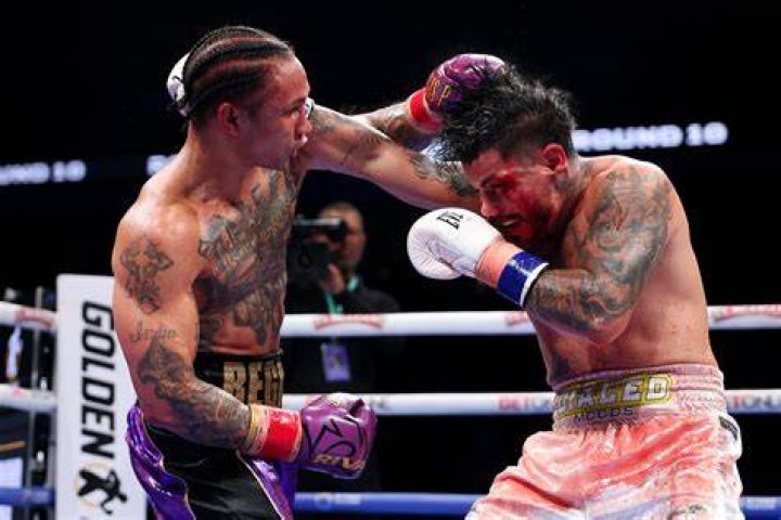 Devin Haney appears to reveal exact purse for Regis Prograis fight as he takes aim at UFC star Sean