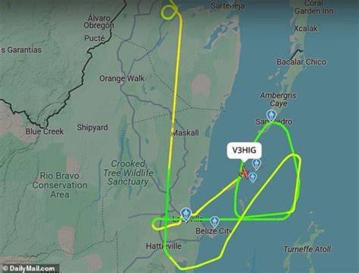 Did Belizean Pilot Crash Land Jimmy Buffett's Private Plane