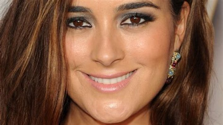 Did Cote De Pablo Ever Become A Mother? Uncovering The Truth