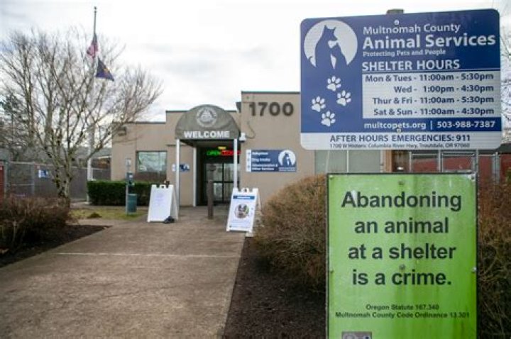 Discover Multnomah County Animal Shelter