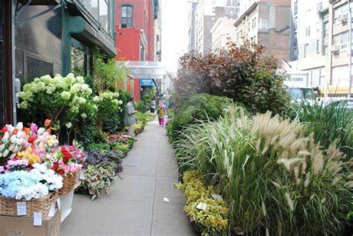 Discover The Enchanting Blooms Of New York City's Flower District