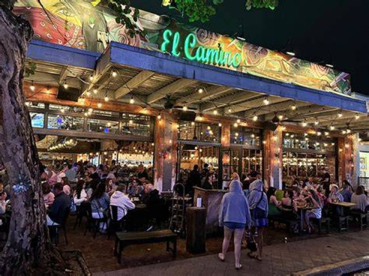 Discover The Path To Recovery With El Camino Fort Lauderdale