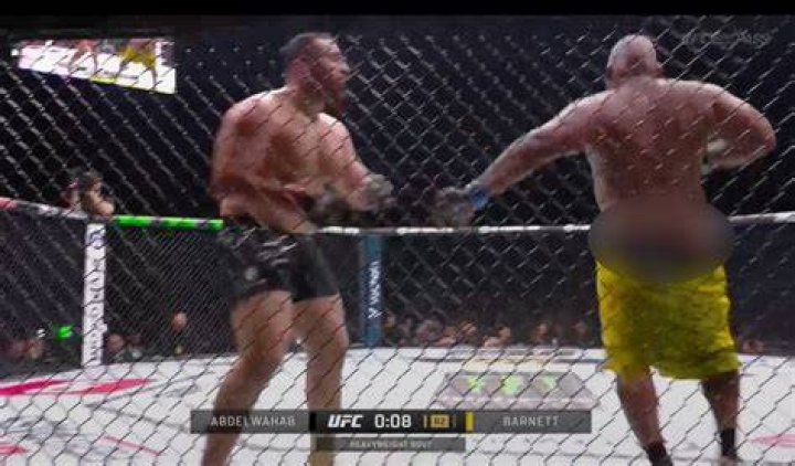 Discover The Secrets Of Chris Barnett's MMA Dominance