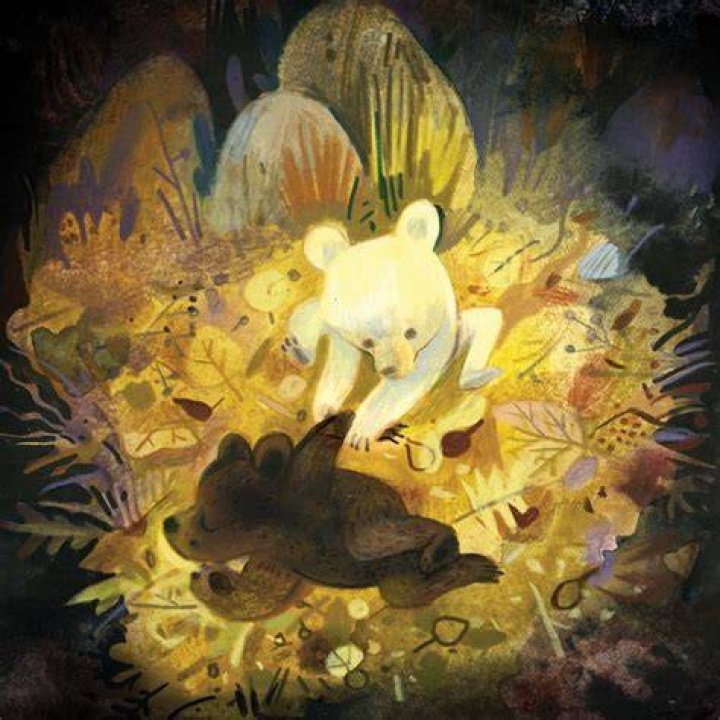 Discover The Tale Of Carmen The Bear: An Enchanting Story