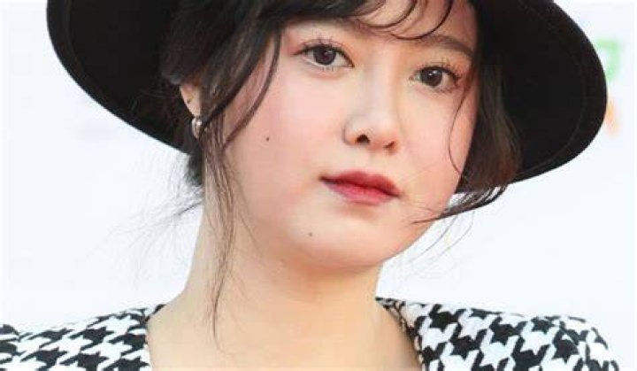 Discover The Truth: Goo Hye Sun's Family Status