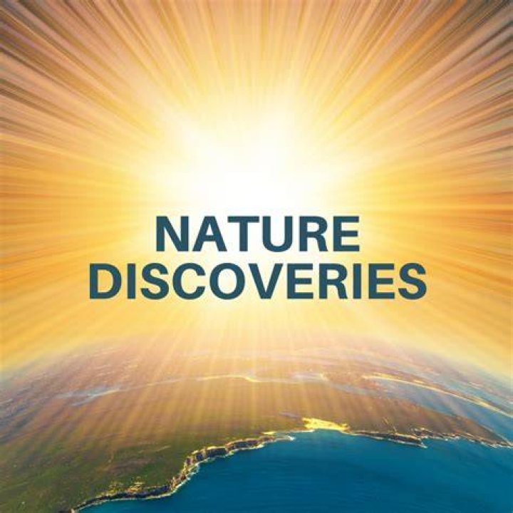Discoveries And Insights For Nature Lovers
