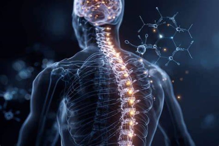 Discoveries And Insights For Spinal Cord Injury