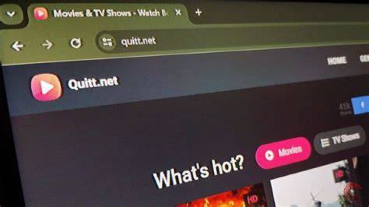 Discoveries And Insights From "quitt.net Movie"
